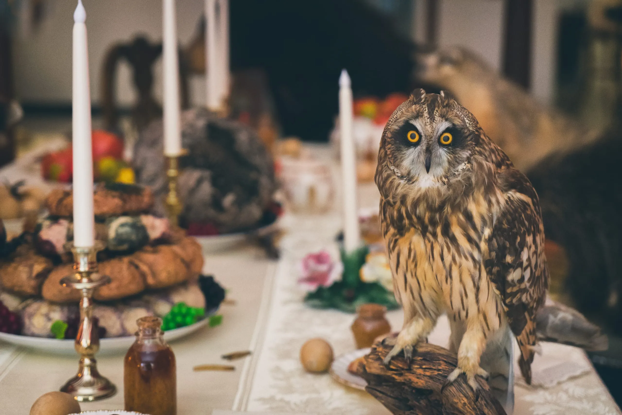 A wide-eyed owl perches on driftwood amid candles, pastries, and fruit on a laid banquet table in Pittsburgh.