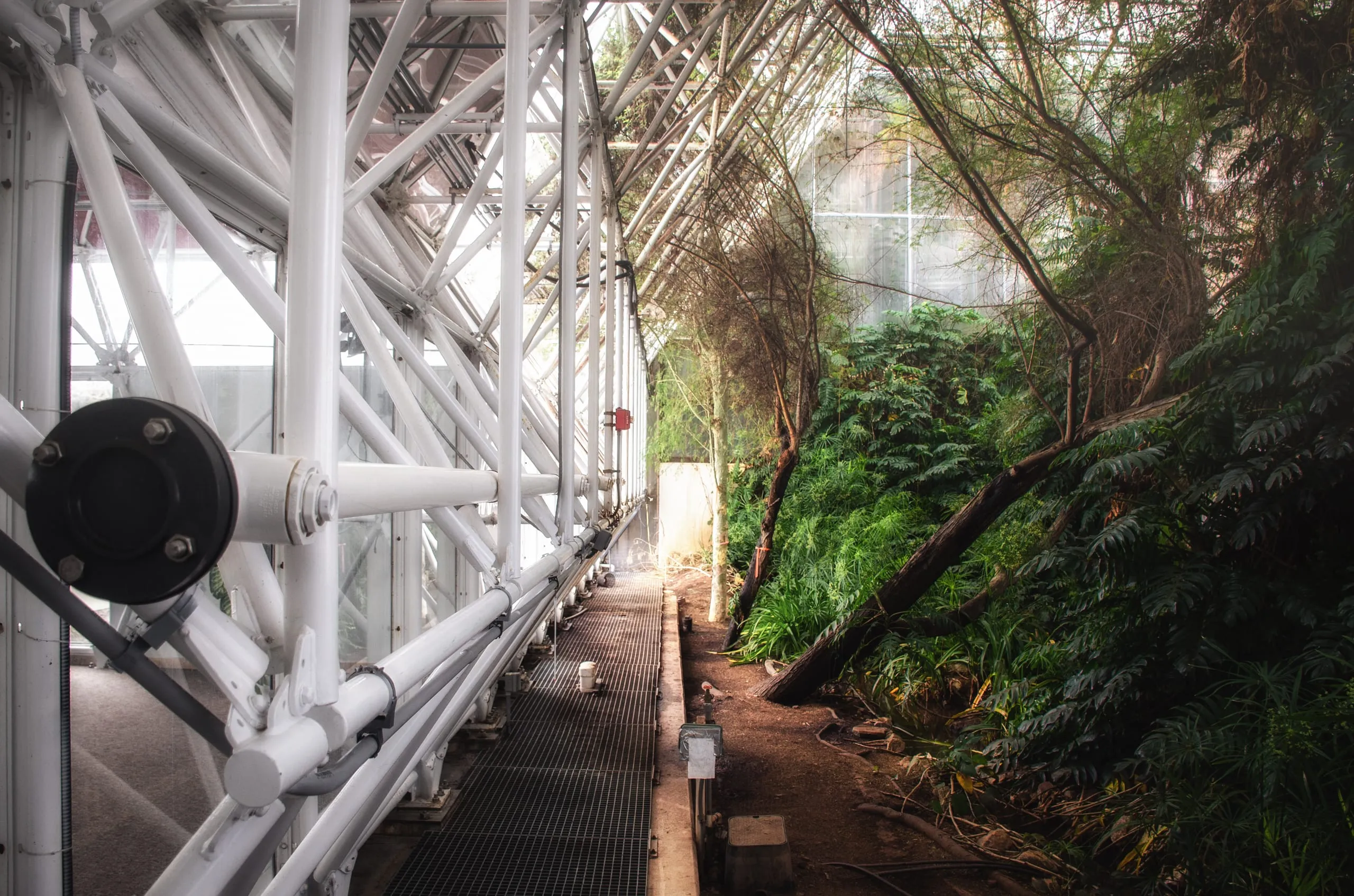 White structural struts of Biosphere 2 framing a view out to the sea and jungle biome, Arizona