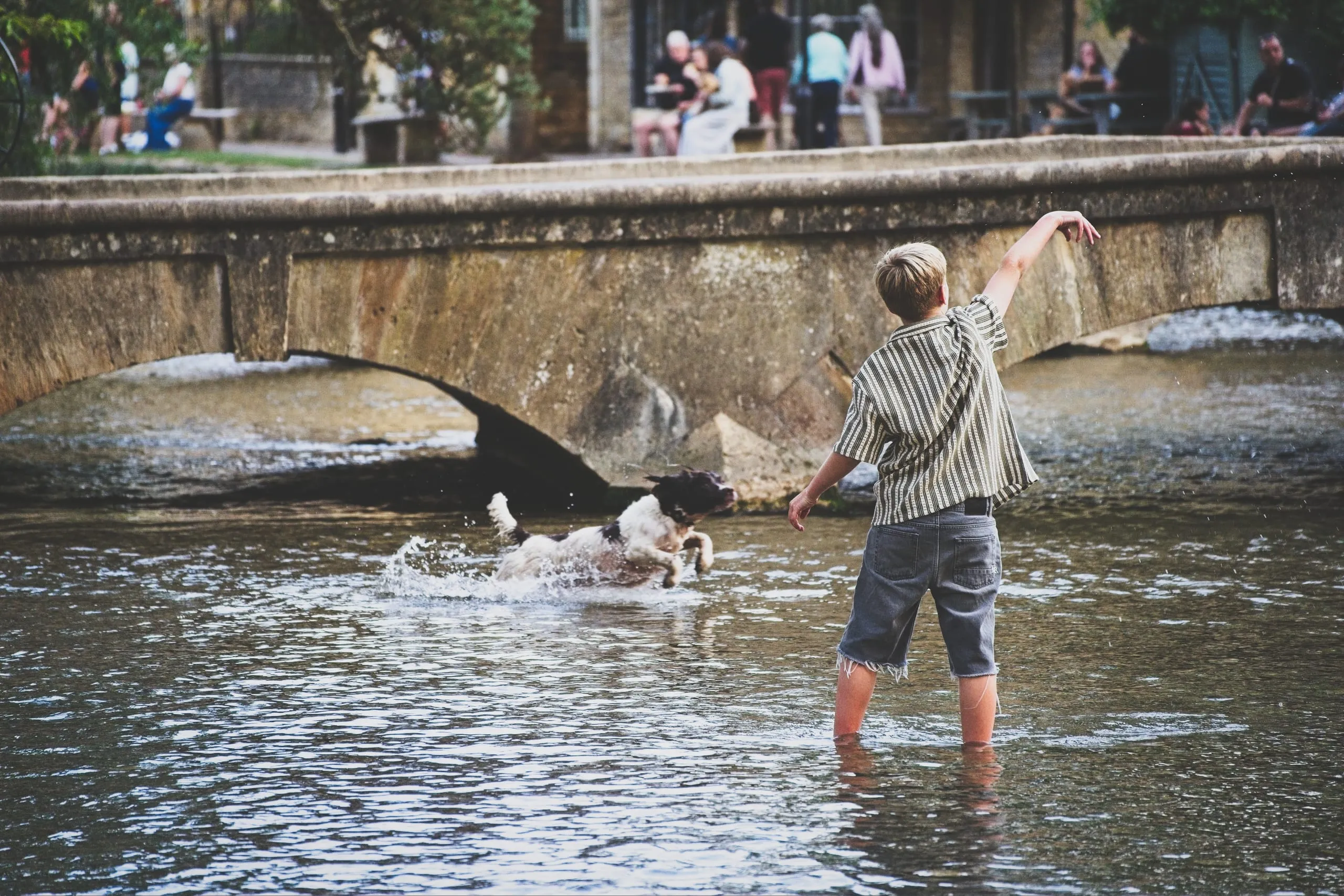 A boy stands ankle-deep in a shallow river, arm outstretched, as a black-and-white spaniel leaps through the splashing water toward him beneath a stone footbridge, in Bourton-on-the-Water, England.