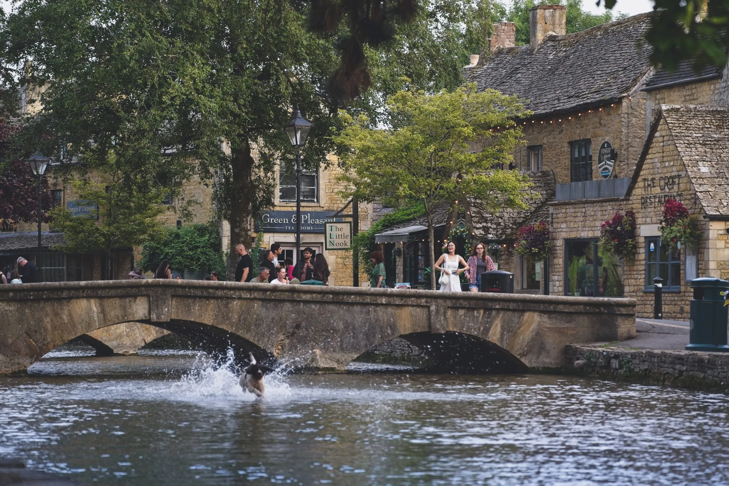 A dog splashes through the shallow River Windrush beneath a stone footbridge crowded with pedestrians and shopfronts, in Bourton-on-the-Water, England.