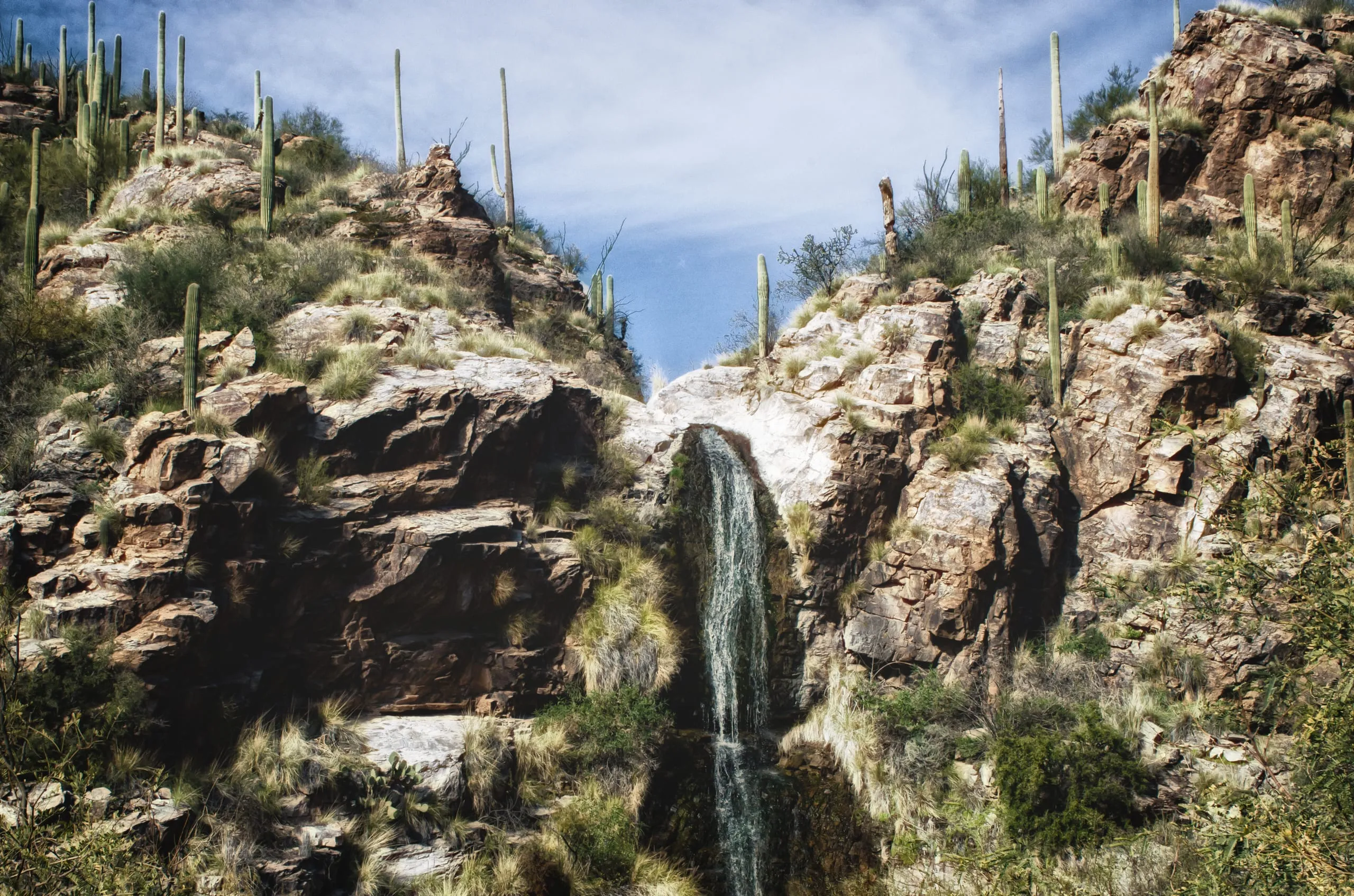 Desert canyon waterfall flowing between saguaro-studded slopes in Arizona