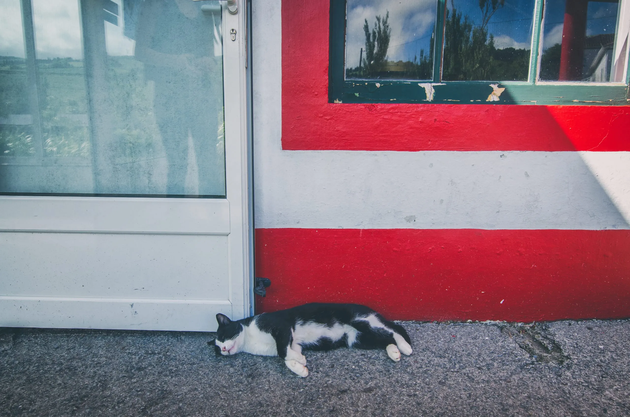 A black-and-white cat sleeps on pavement beside a glass door and a red-and-white painted wall with a green-framed window.