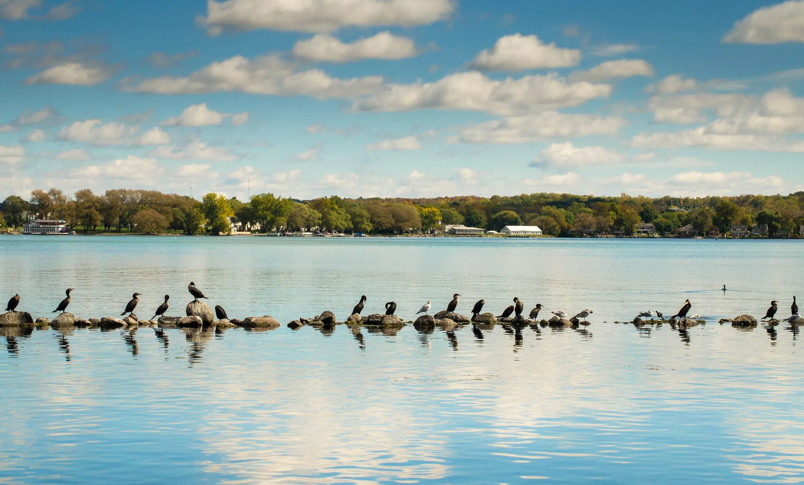Cormorants gathered on a shoal in Canandaigua Lake