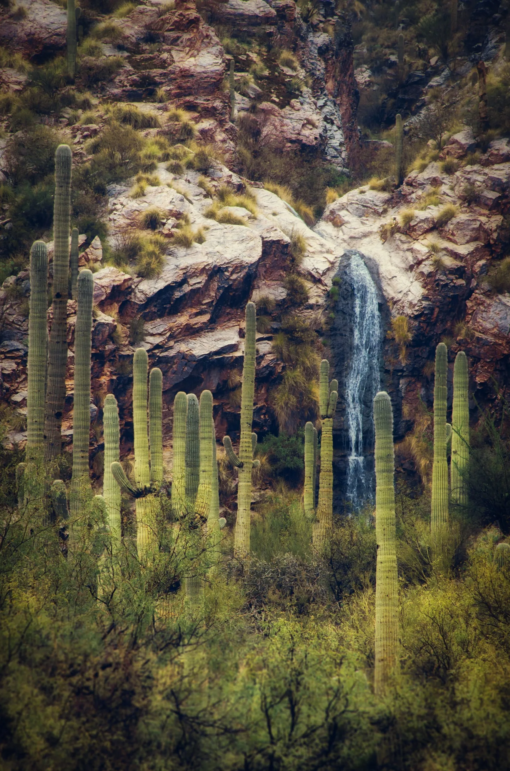 Waterfall dropping down a tall desert canyon cliff in Arizona