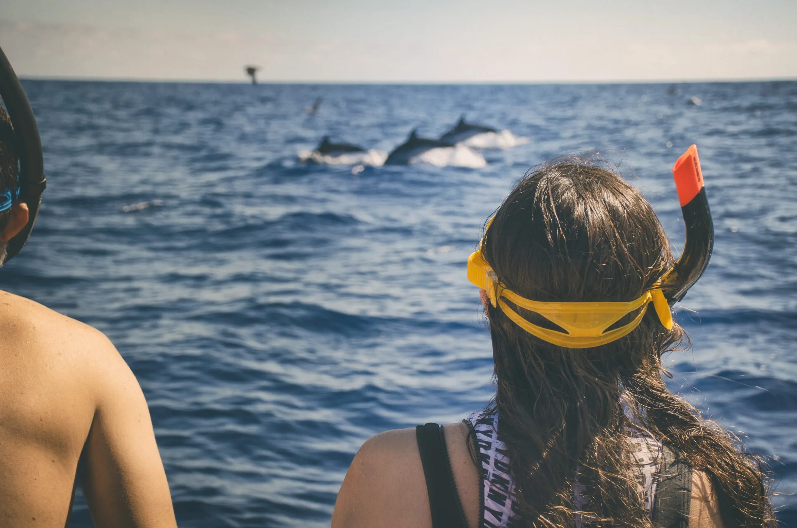 Two snorkelers watch from a boat as several dolphins leap from the deep blue open sea.