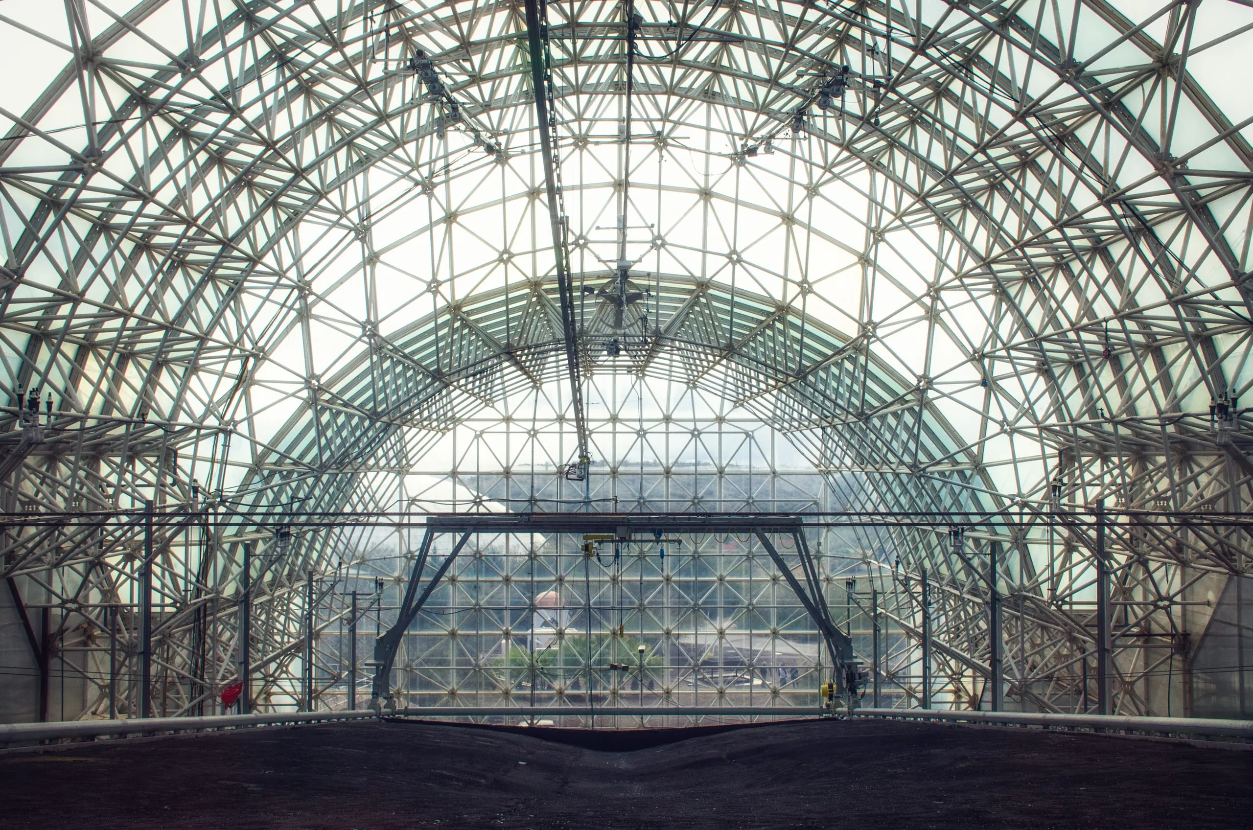 Tree canopy inside the glass vault of Biosphere 2's rainforest biome