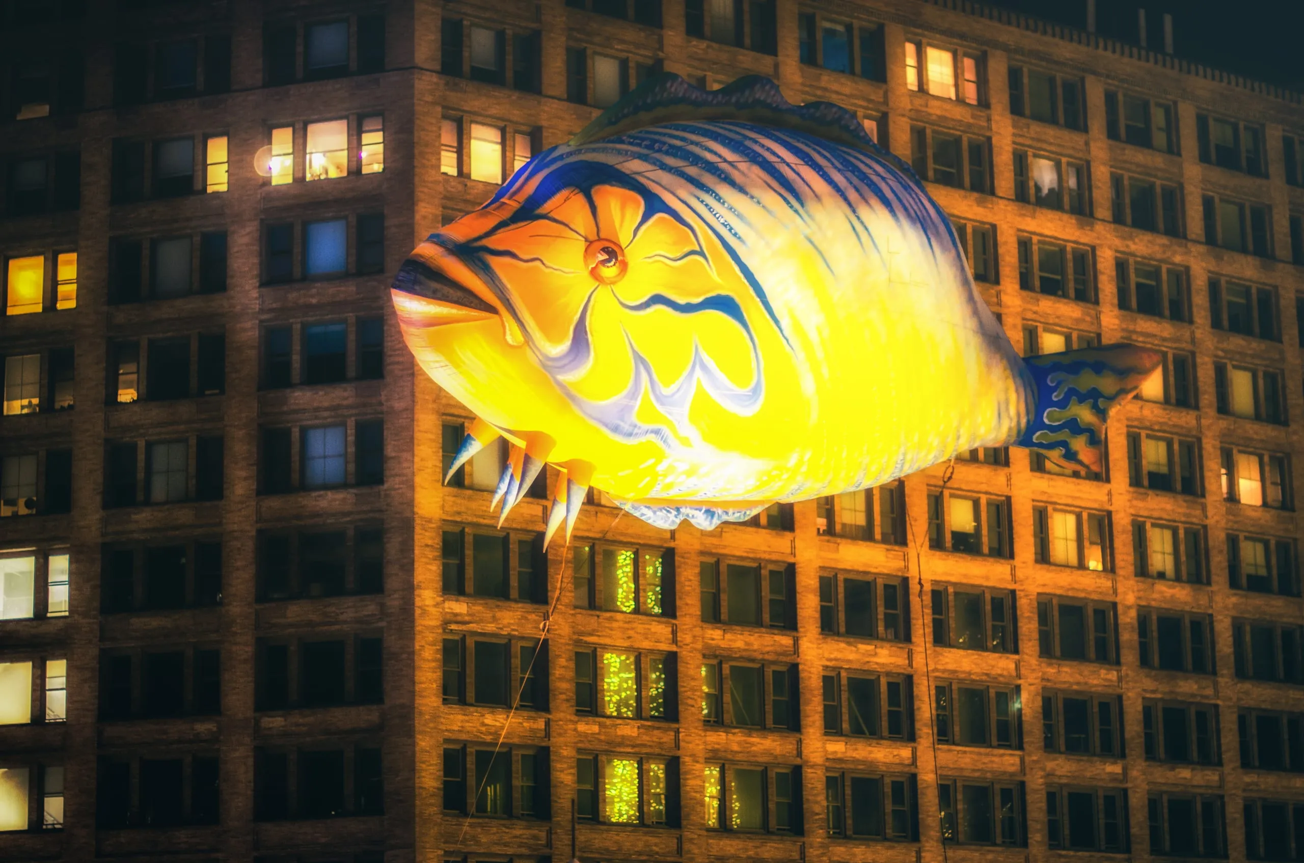 Glowing painted fish lantern carried past a lit office facade at night in Rochester