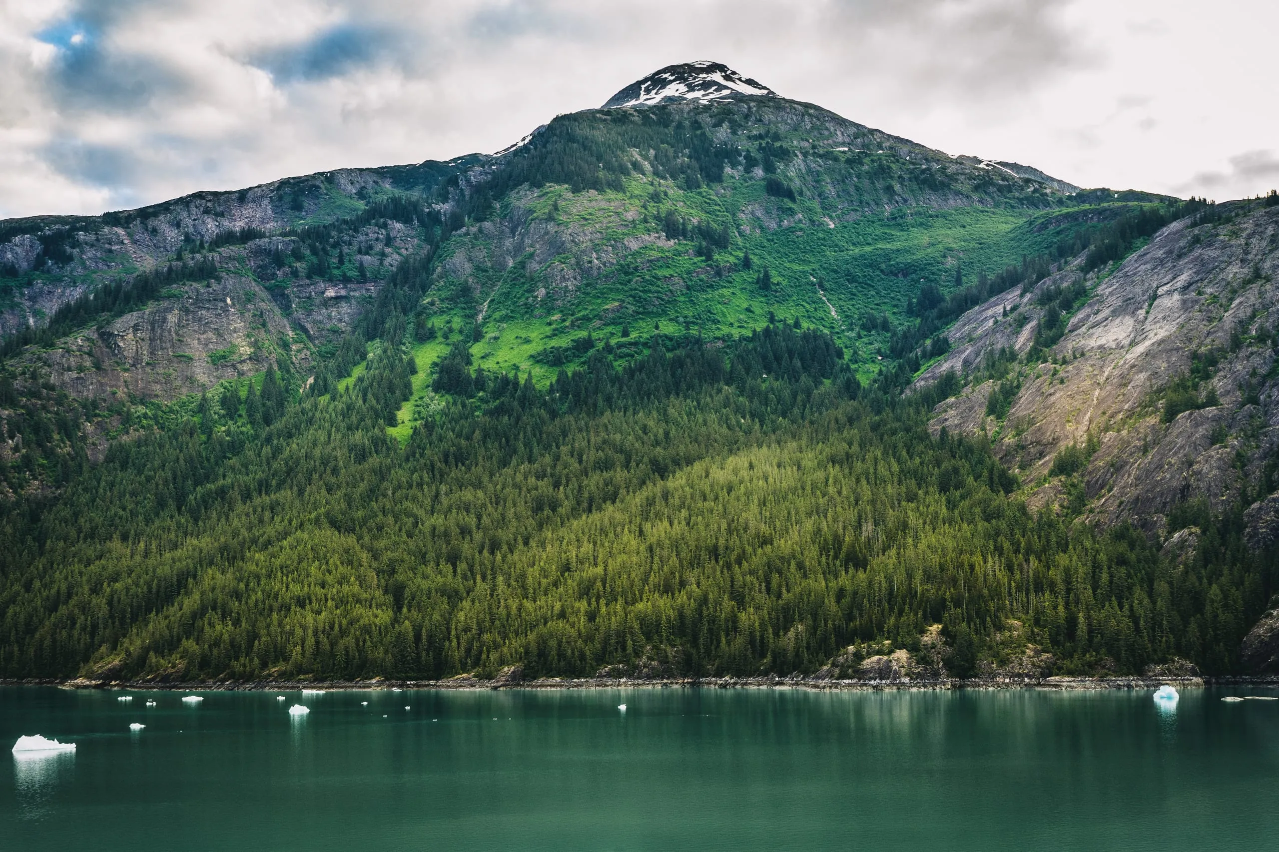 A steep green forested mountain rises above turquoise fjord water dotted with small white icebergs, a snow patch on the peak.
