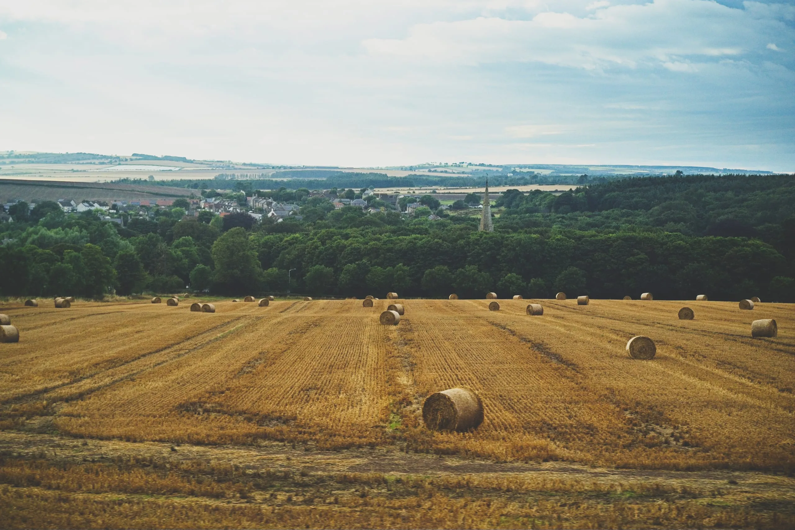 A color photograph of round hay bales dotting a harvested field above a wooded valley and village with a church spire in the Scottish Borders.