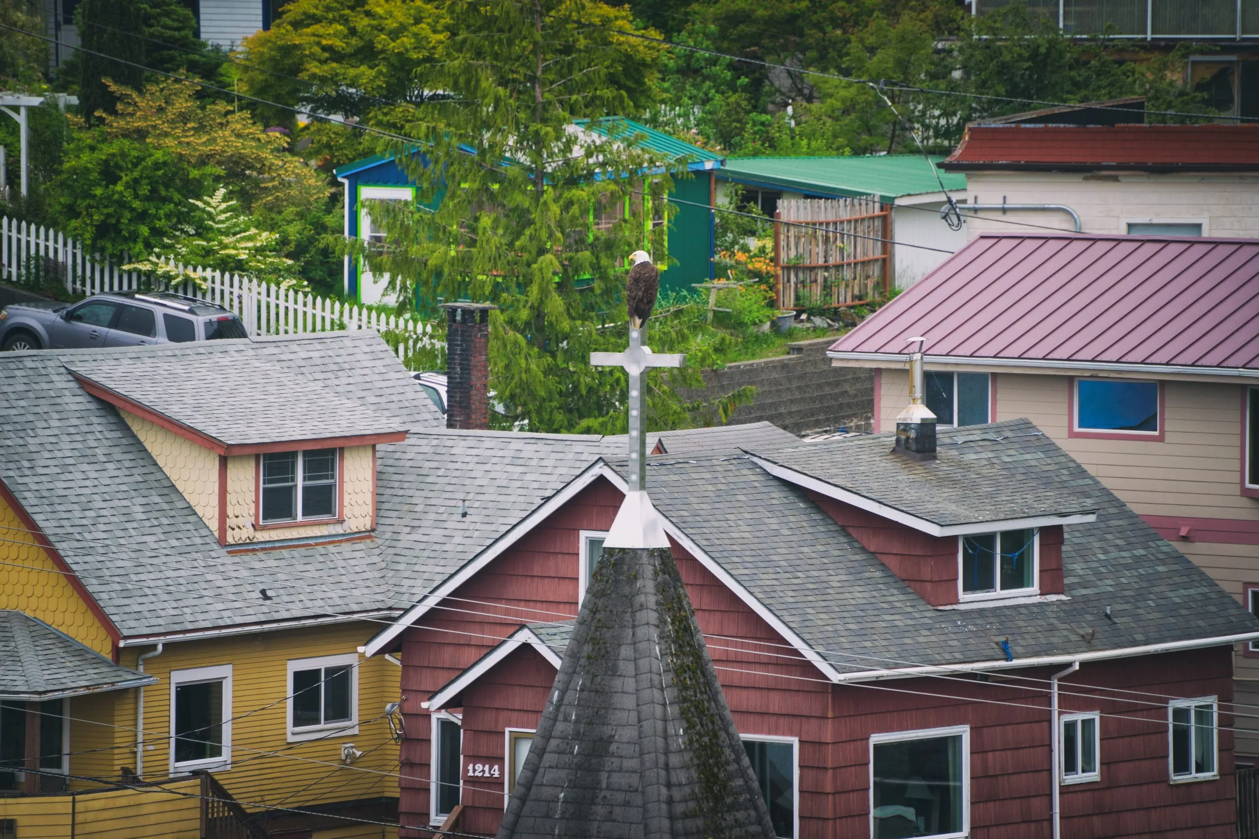 A bald eagle perches on a white steeple cross above a cluster of colorful shingled rooftops and a green wooded hillside.