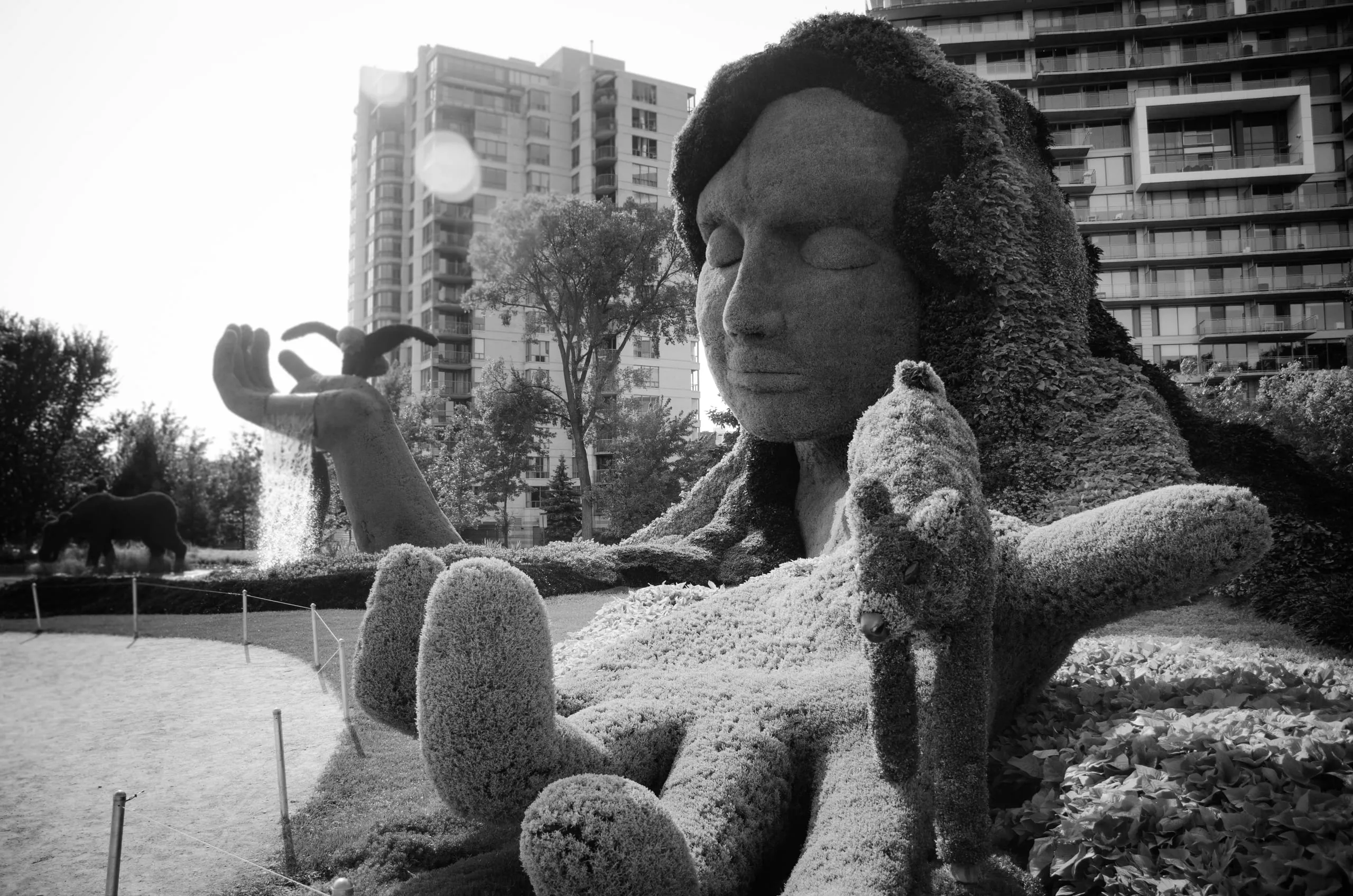 Black and white photograph of a monumental topiary figure sculpture near Ottawa