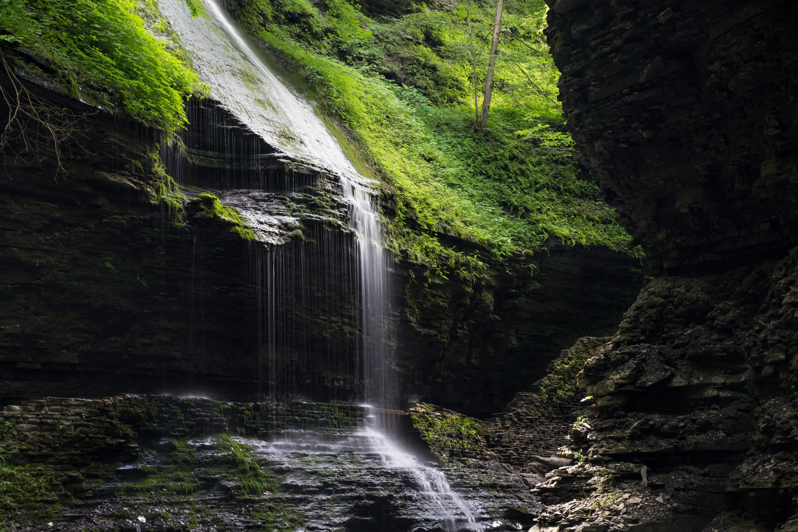 Waterfall sliding down a moss-covered rock face in Watkins Glen gorge