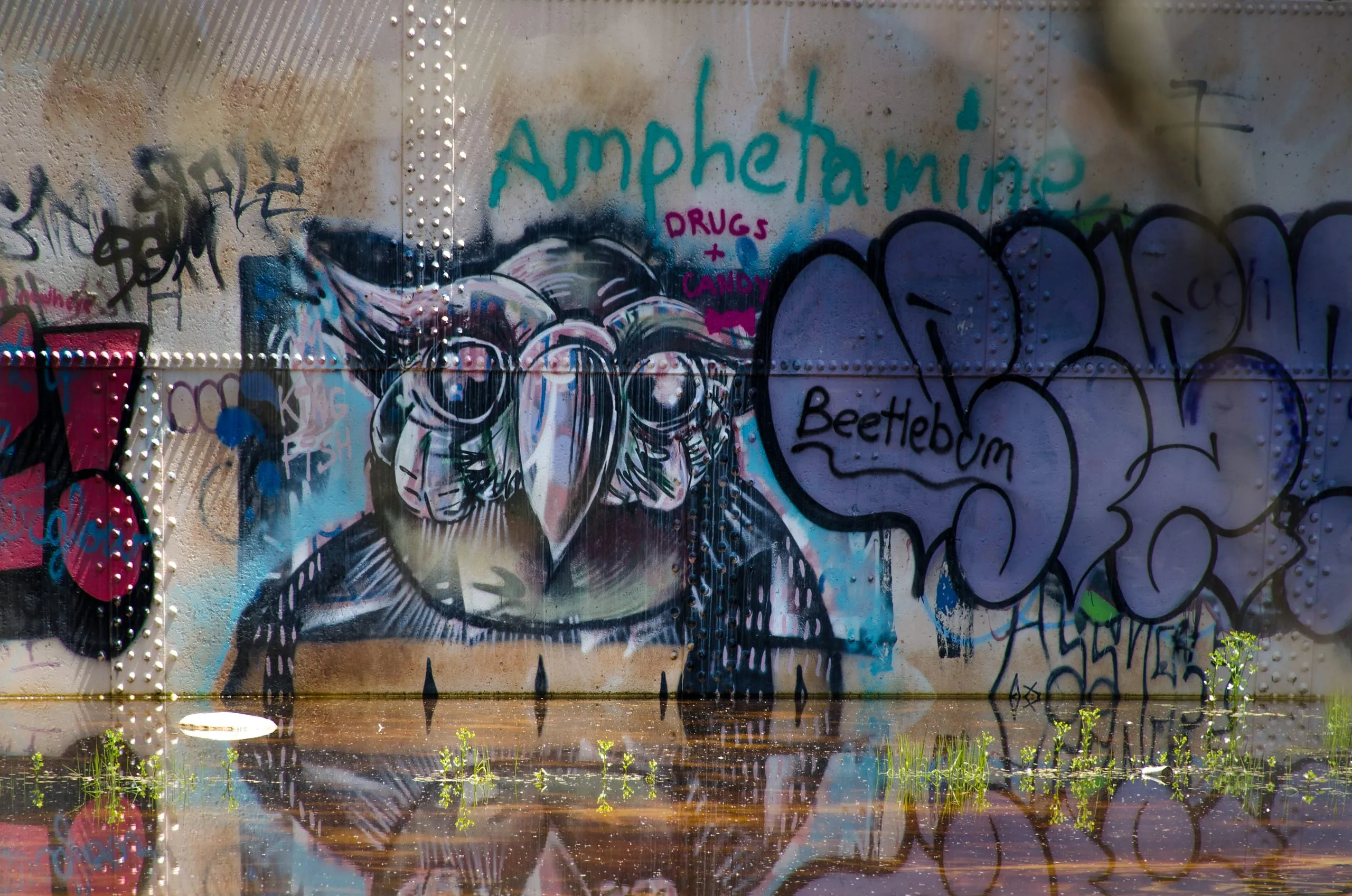 Owl mural reflected in a flooded concrete floor inside an abandoned structure