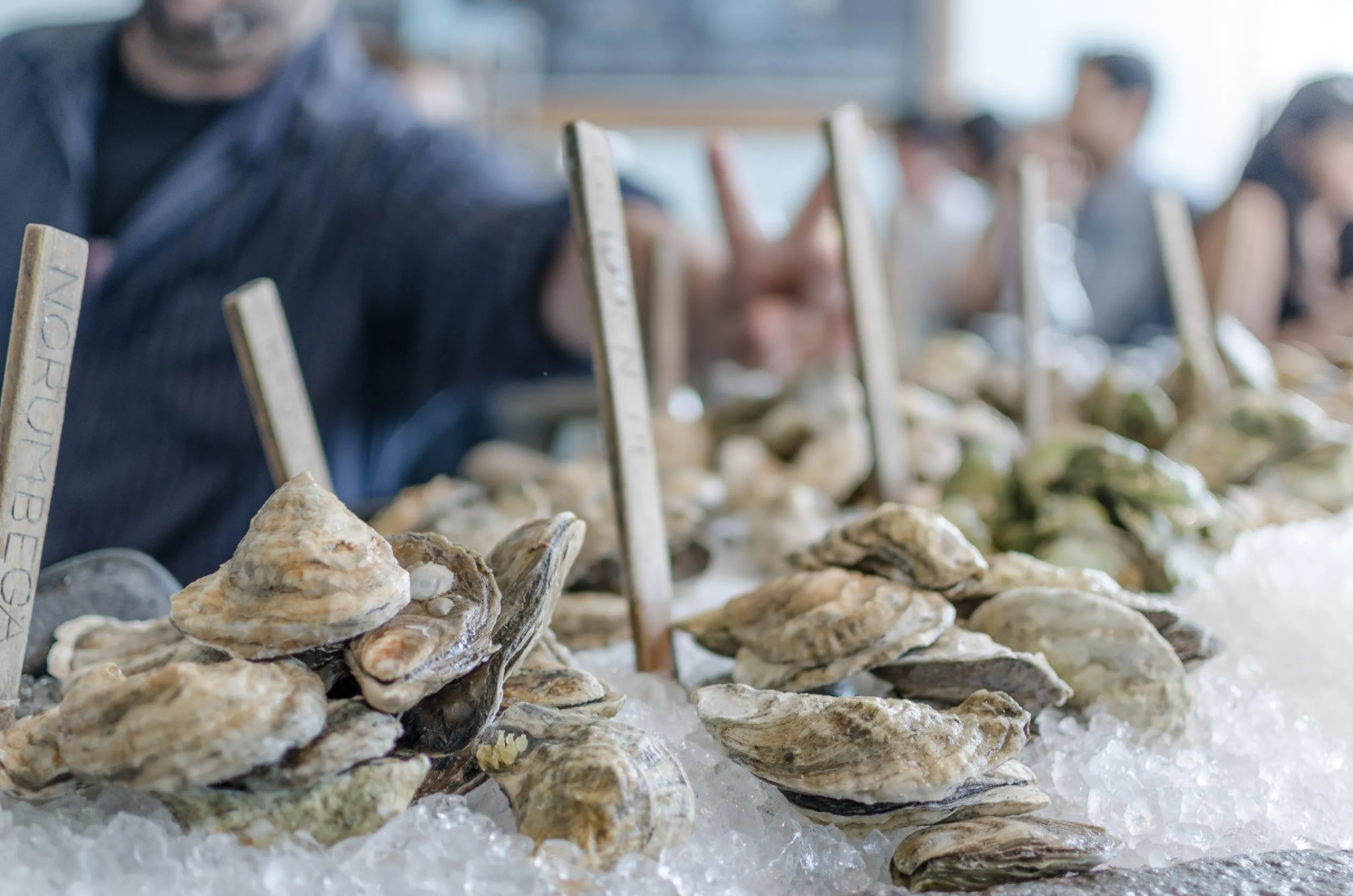 Oysters on ice at a Portland, Maine raw bar with diners beyond