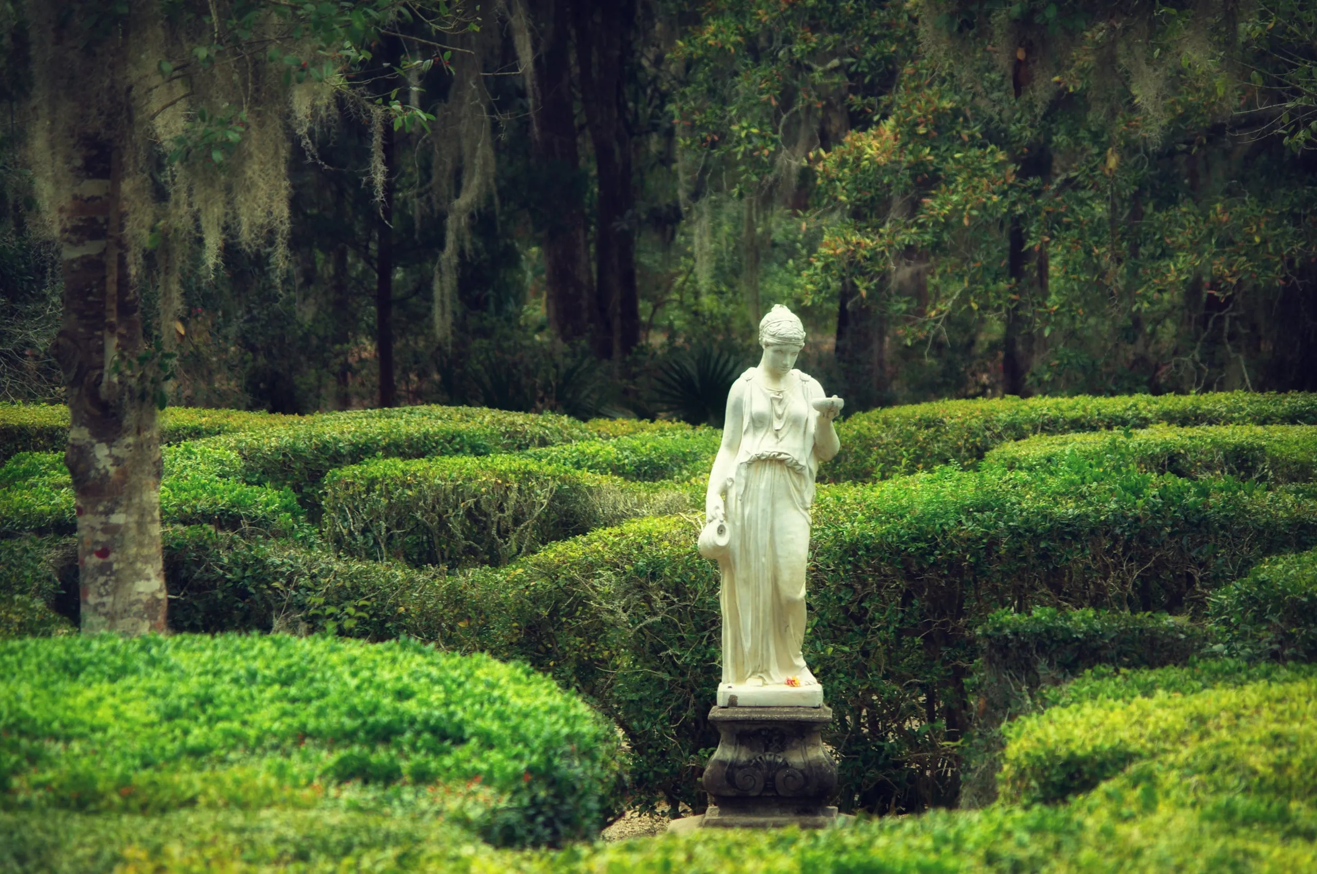 White classical statue standing in a boxwood parterre maze draped with Spanish moss, Savannah
