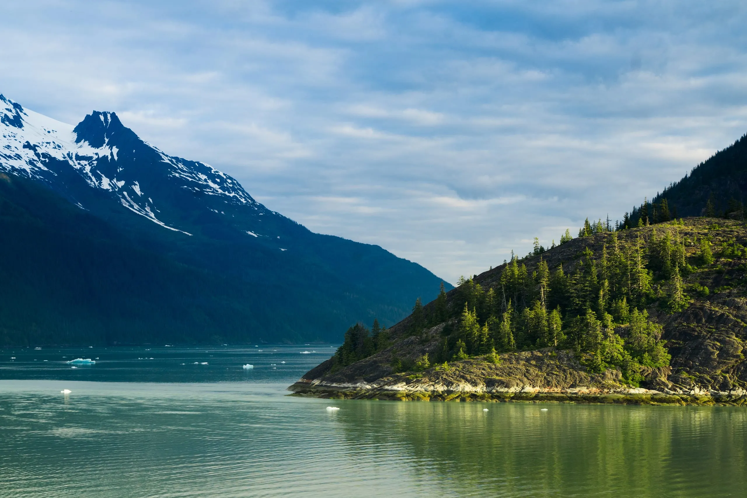 A glassy green fjord with drifting ice floes below a snow-capped peak and a rocky, spruce-topped point.