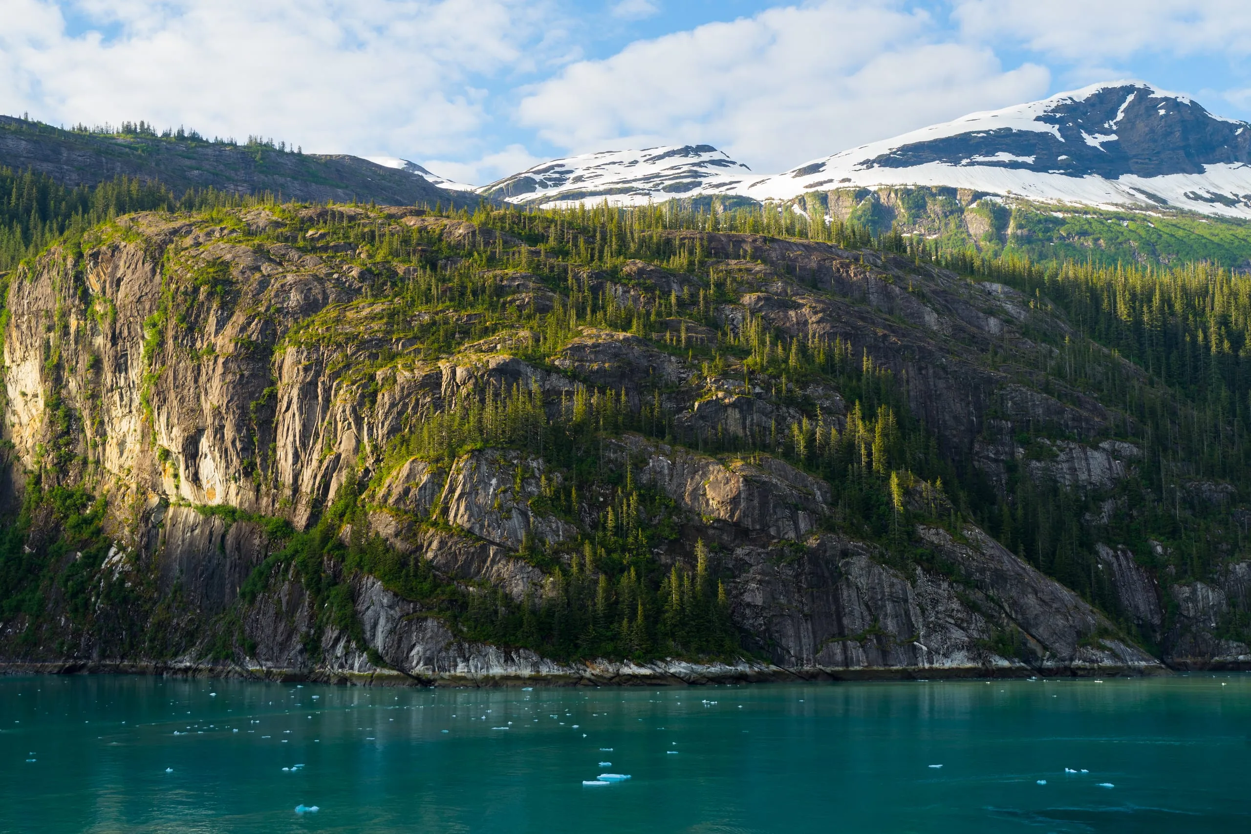 A sunlit rock cliff studded with spruce rises above turquoise water speckled with small icebergs, snowy ridge behind.