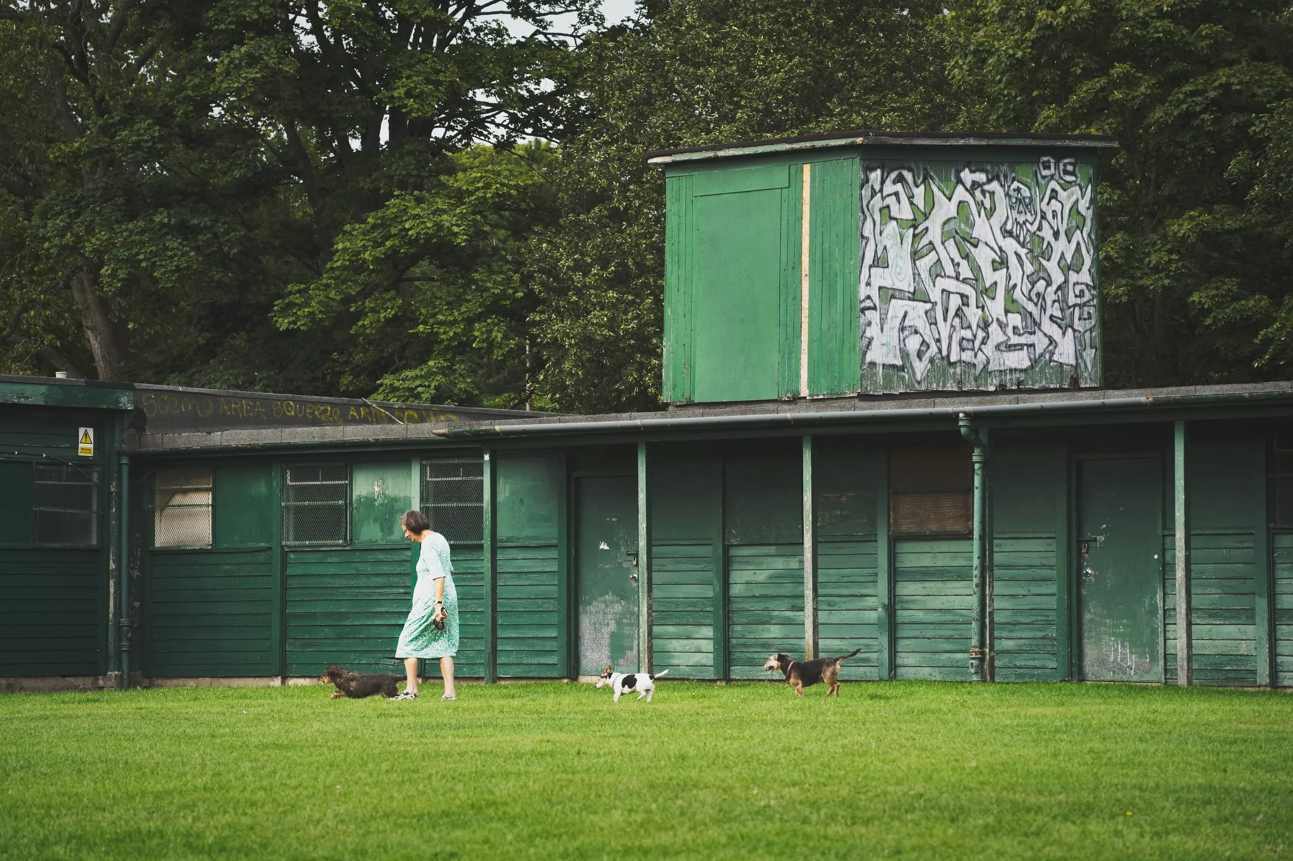 A color photograph of a woman walking three small dogs across a grass field in an Edinburgh park, passing a graffiti-tagged green wooden pavilion.