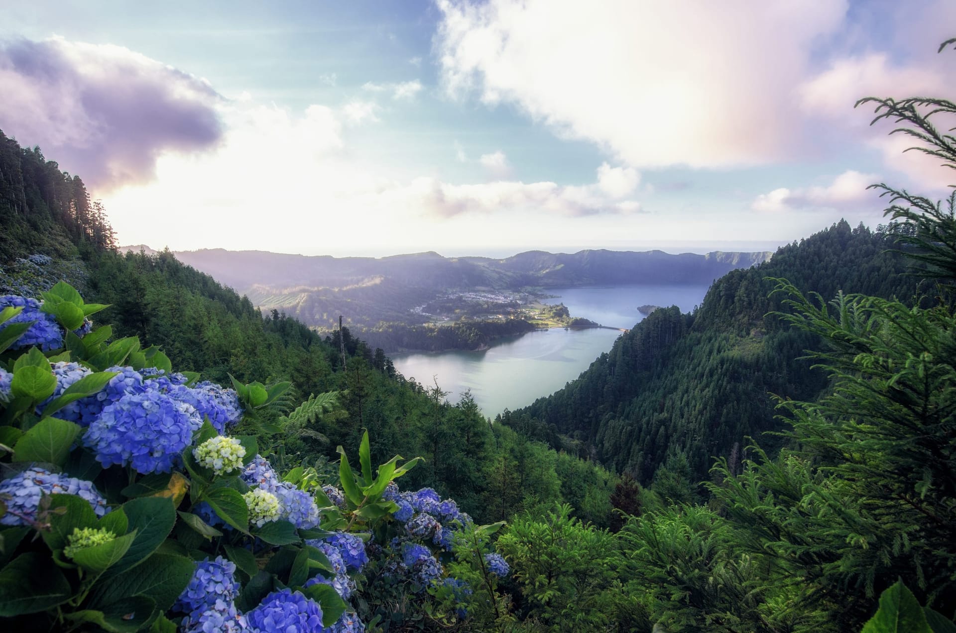 Hydrangea-lined overlook above the twin crater lakes of Sete Cidades, São Miguel, Azores